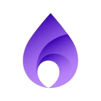 Flame DNS